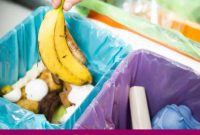 Beyond the Bin: Smart Ways to Save Food and Money