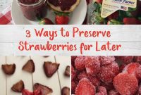 Harvesting Memories at Wish Farms and 3 Strawberry Preservation Techniques