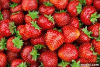 April’s Bounty: Seasonal Delights