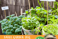 The Global Ripple from Your Local Garden