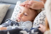 Seasonal Immunity: Foods to Guard Against Flu and Colds