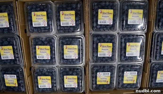 Wish Farms: Florida's Blueberry Peak is Here 6 Rows of perfectly packaged Wish Farms blueberries in clamshell containers, ready for shipment.
