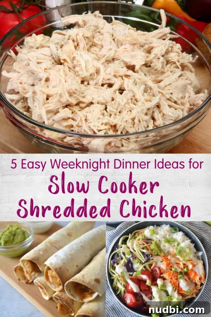 Collage of chicken recipes showing various easy meals made with shredded chicken, including tacos, quesadillas, salads, and rice bowls.