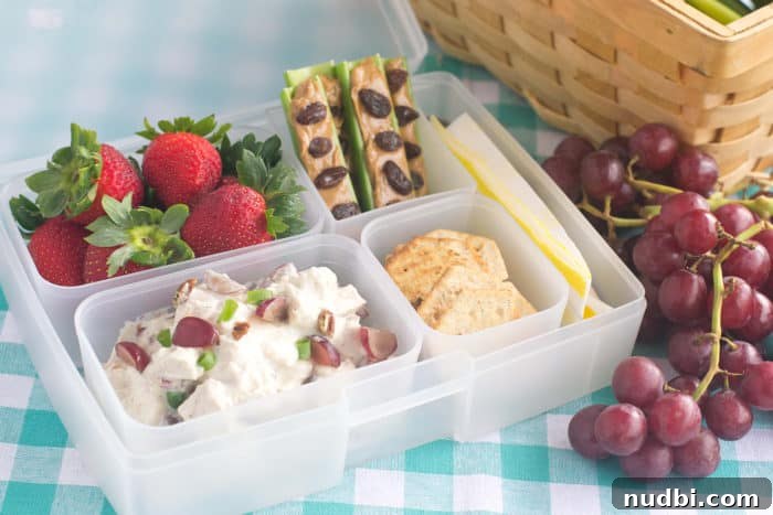 bento box with chicken salad, strawberries, ants on a log and crackers