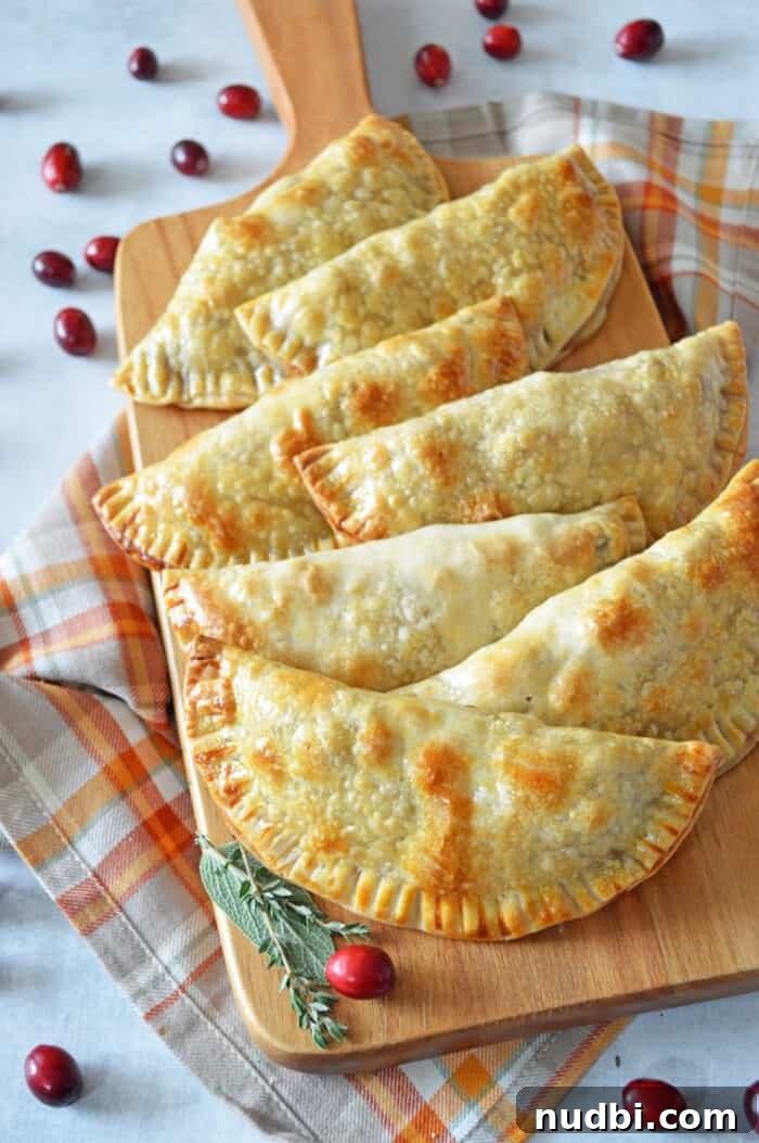 15 Delicious Ways to Reinvent Thanksgiving Leftovers 2 Delicious Turkey Cranberry Empanadas made from Thanksgiving leftovers, offering a fresh new meal idea.
