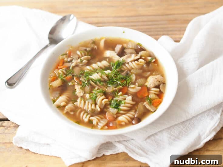 15 Delicious Ways to Reinvent Thanksgiving Leftovers 13 Hearty bowl of Leftover Turkey Noodle Soup, a comforting and classic meal.