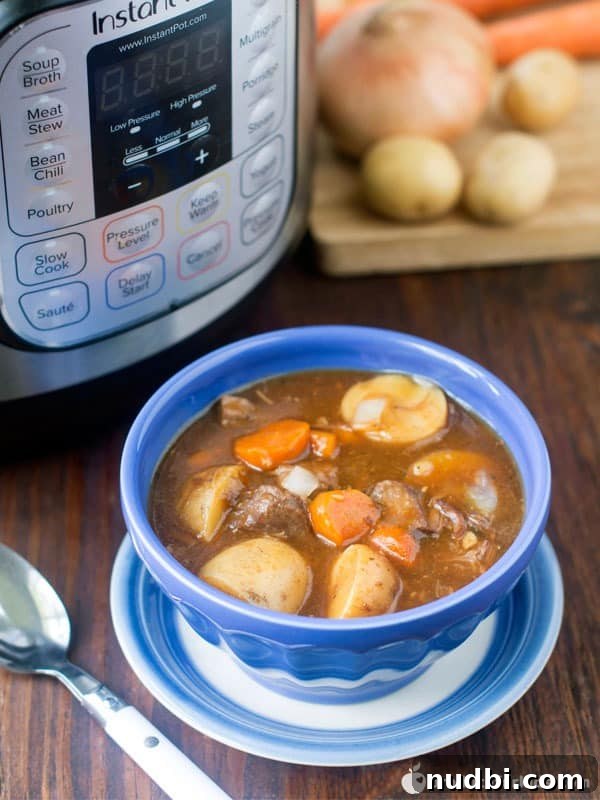 Instant Pot Beef Stew