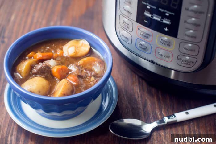Kickstart Your Year with 28 Wholesome Recipes 4 Hearty Instant Pot Beef Stew with carrots and potatoes.