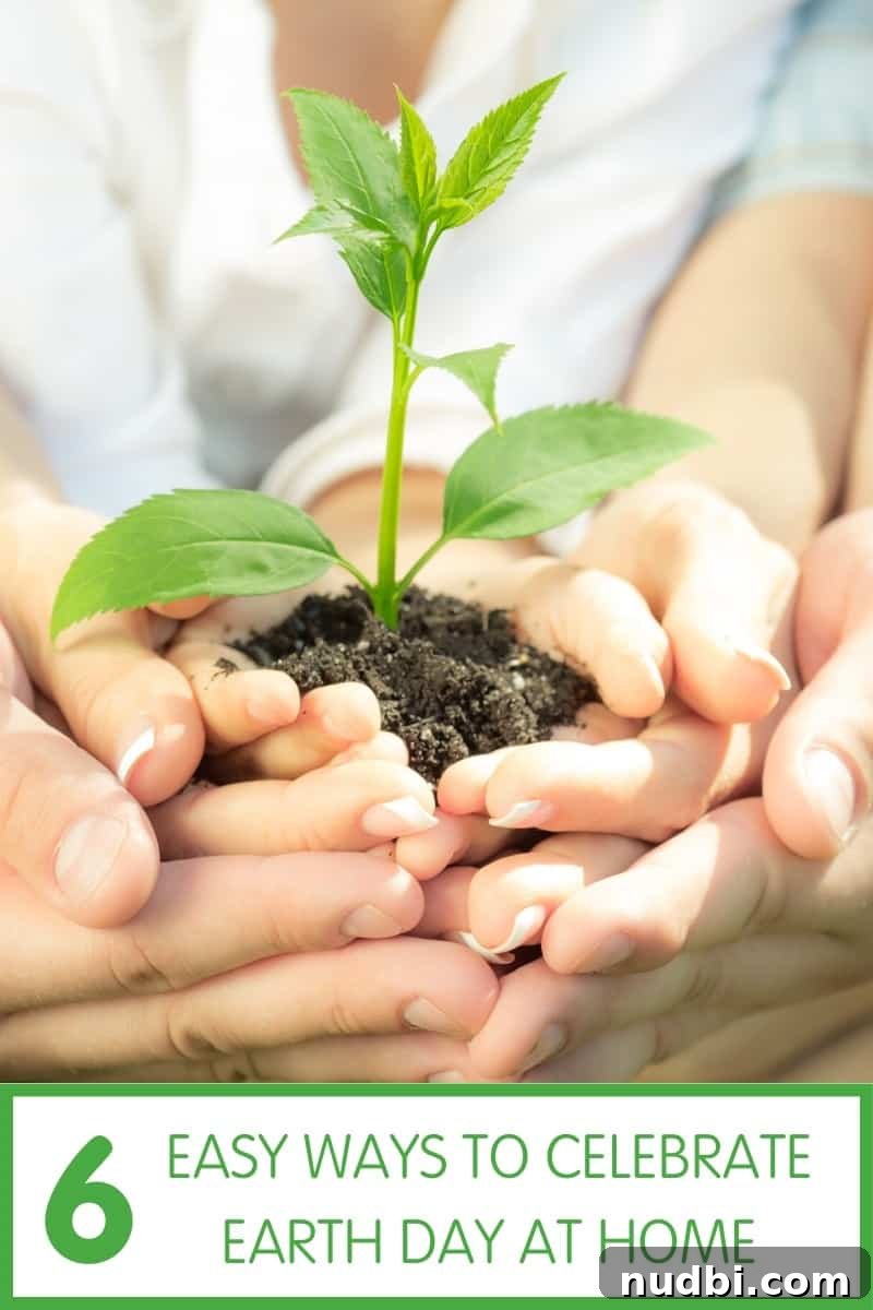 Easy Tips to Celebrate Earth Day At Home