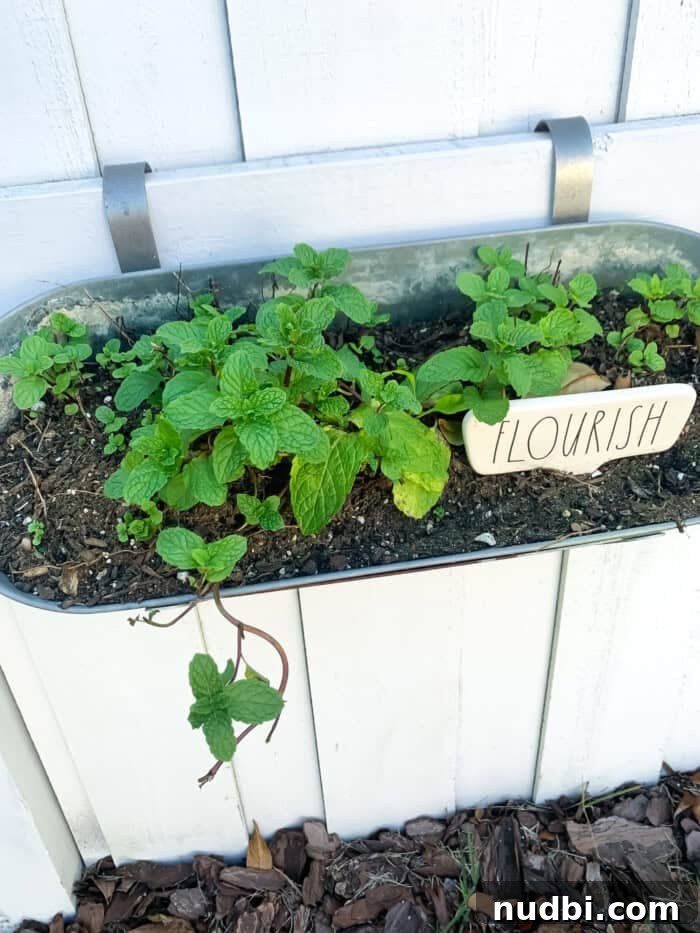 A family gardening together