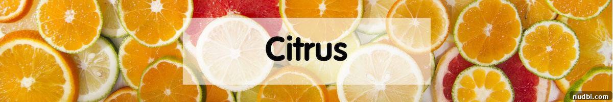 May's Fresh Picks 10 Assortment of Citrus Fruits