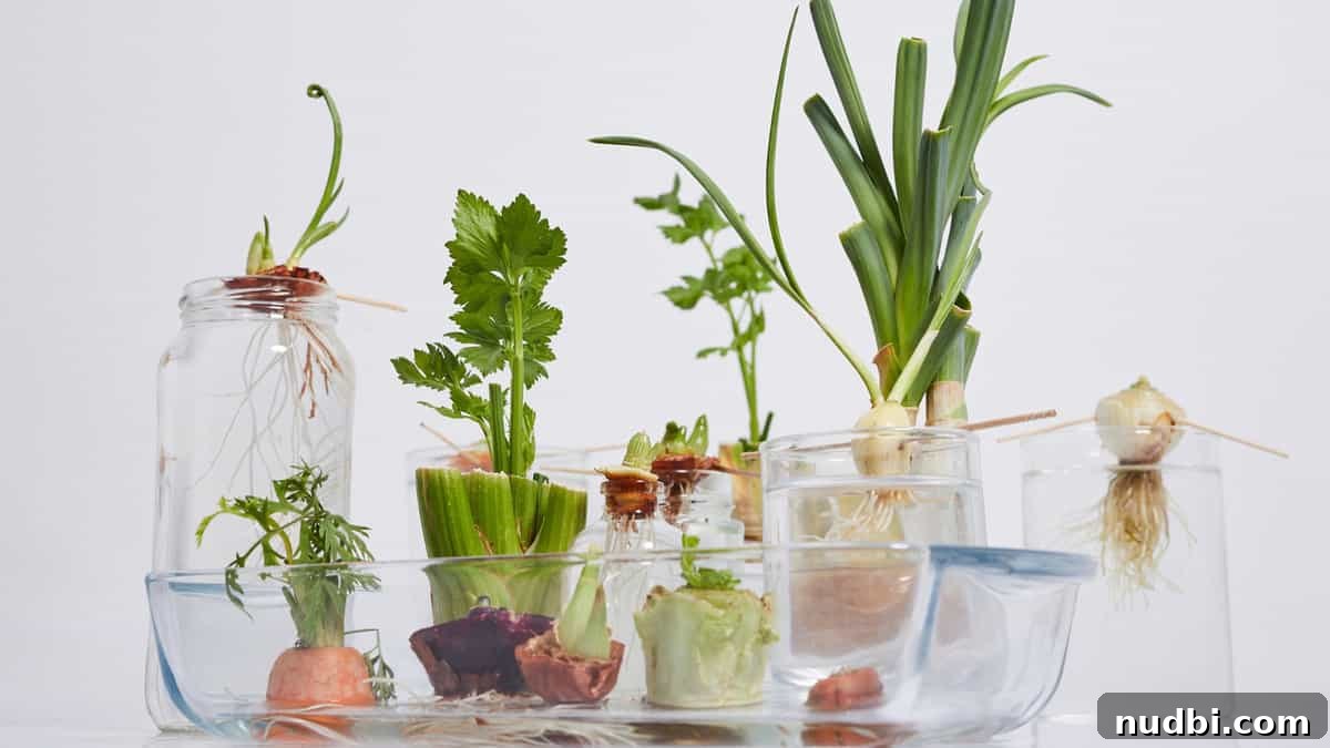 Collection of fresh fruits and vegetables that can be regrown from scraps, illustrating sustainable home gardening