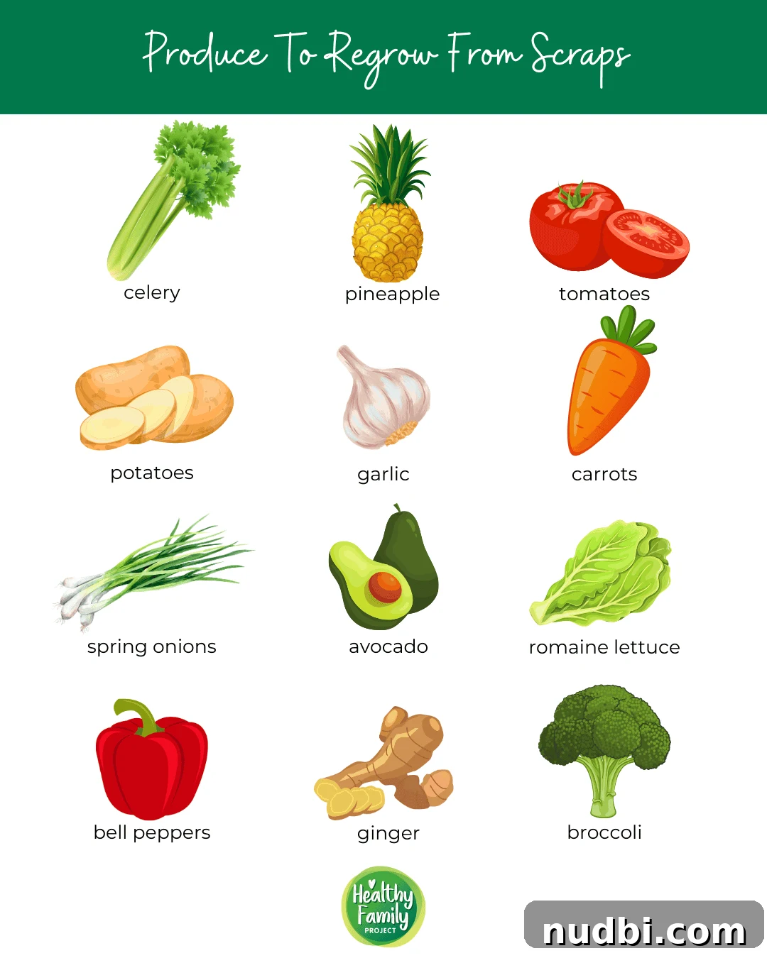 Infographic showcasing various fruits and vegetables suitable for regrowing from kitchen scraps