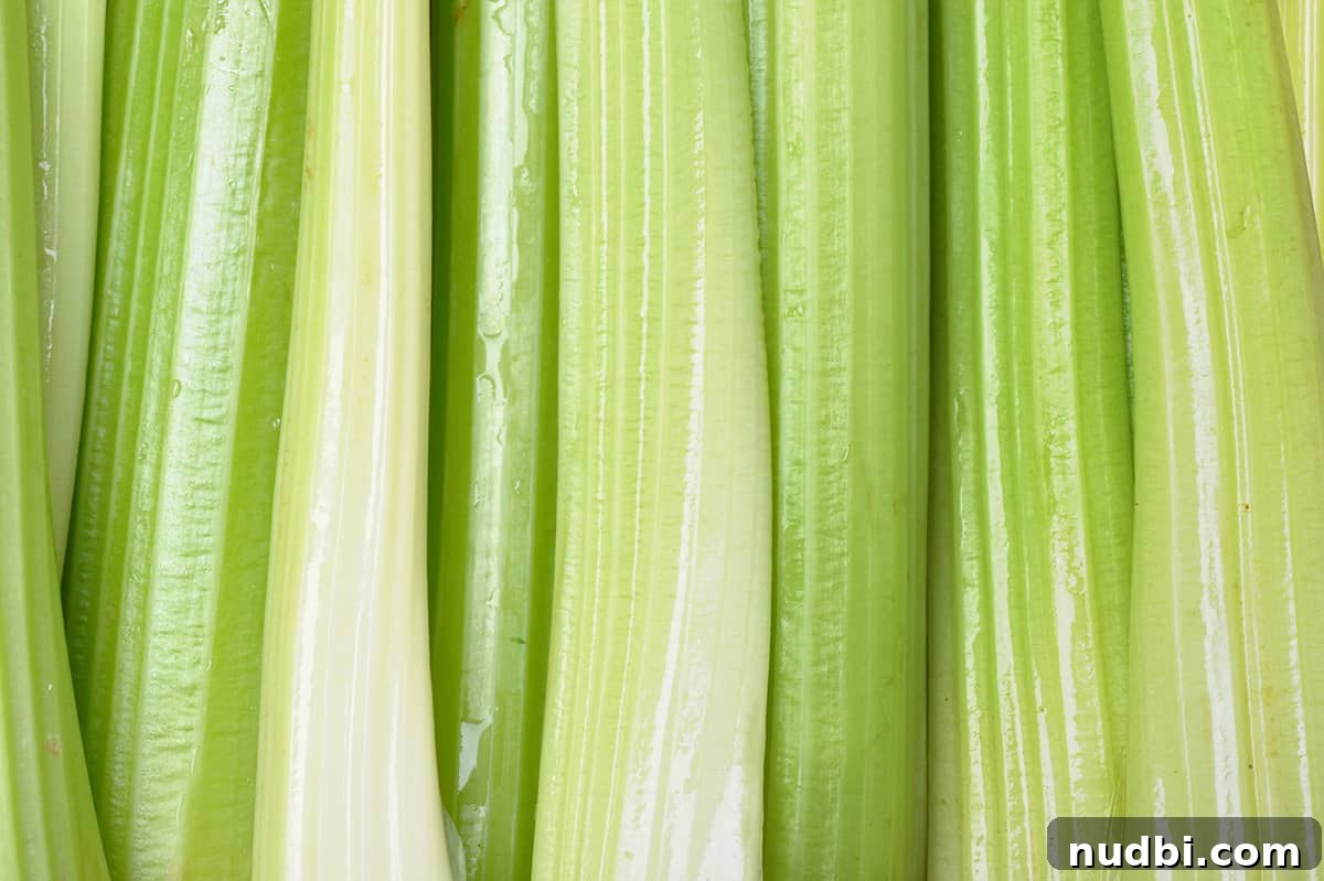 Fresh stalks of celery, a crunchy vegetable
