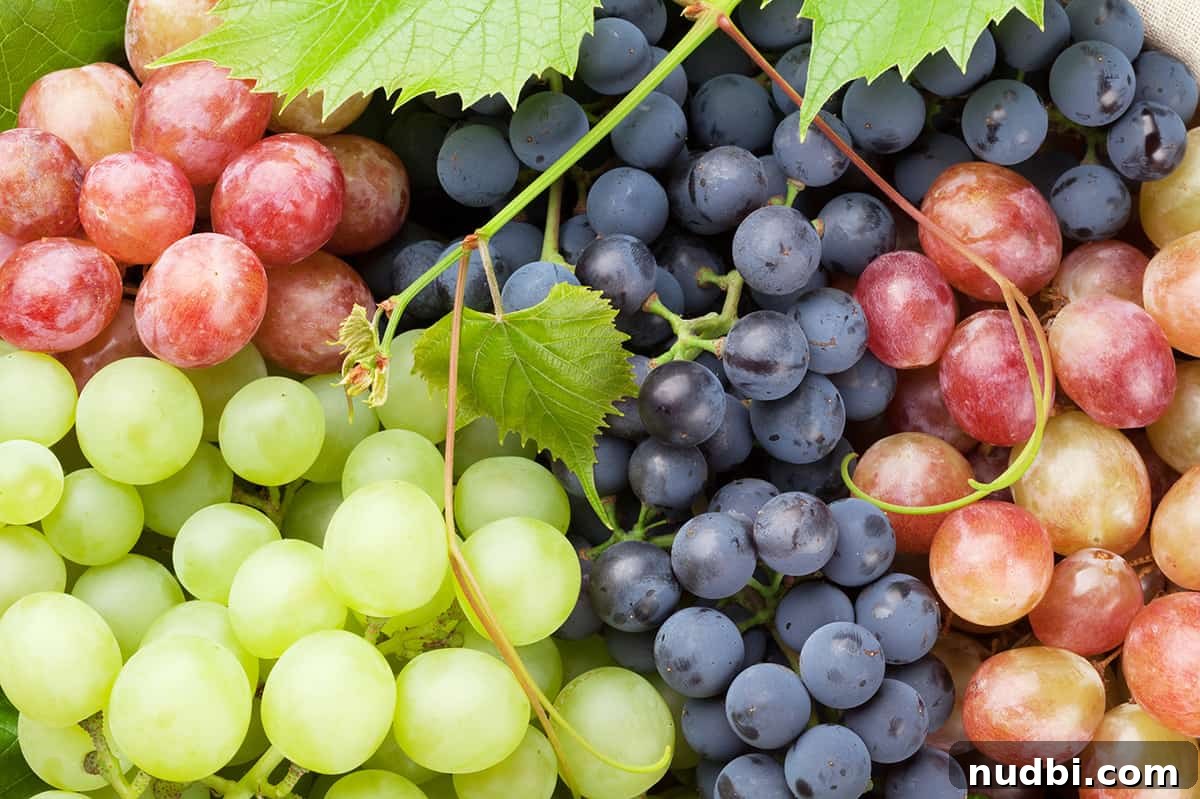 Bunches of red and green grapes, perfect for snacking