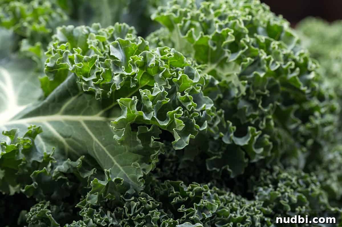 Close-up of fresh kale leaves, vibrant and healthy