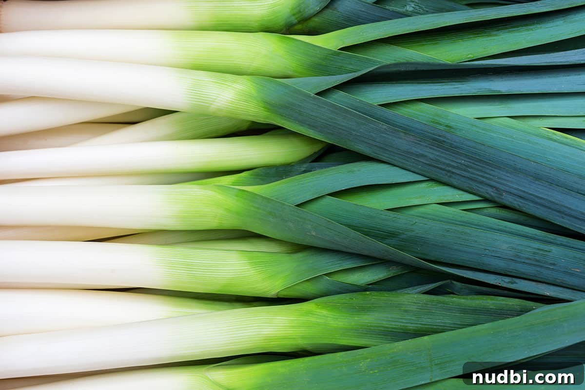 Fresh leeks with green tops and white bulbs