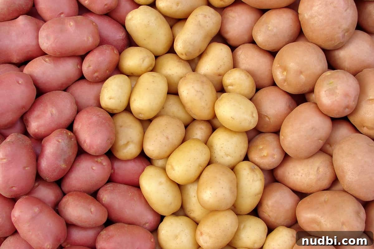 Rows of various potato types: red, gold, and russet
