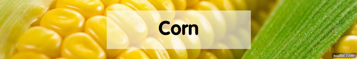 October's Bounty 12 Fresh corn on the cob.