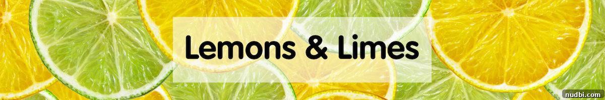 November Harvest Highlights 19 Fresh Lemons and Limes, perfect for adding zest