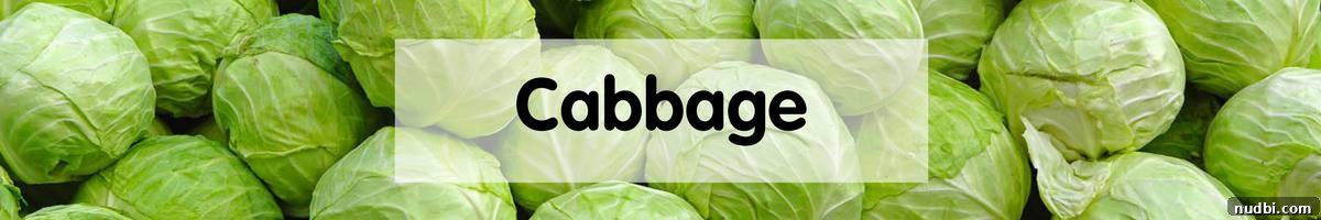 November Harvest Highlights 9 Whole green Cabbage head, full of vitamins