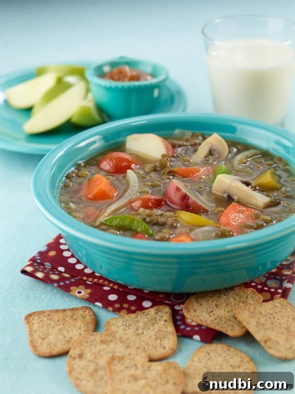 Homemade Vegetable Stock From Scratch 13 Vegetable & Lentil Soup
