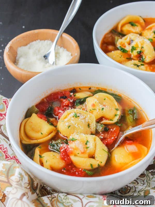 Homemade Vegetable Stock From Scratch 15 Hearty Vegetable Tortellini Soup