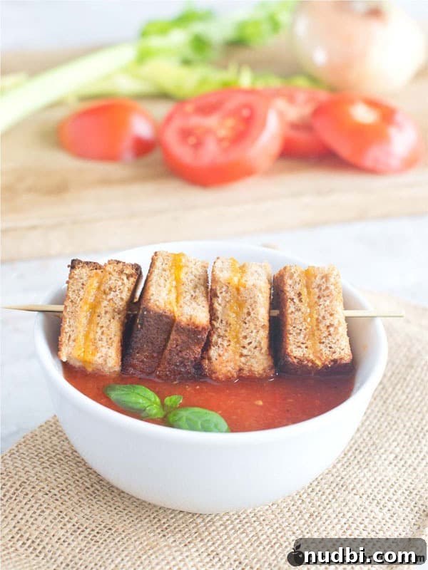 Homemade Vegetable Stock From Scratch 8 Tomato Soup & Baked Mini Grilled Cheese