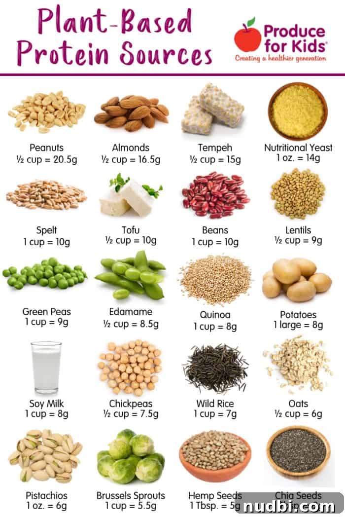 Infographic of plant-based protein sources