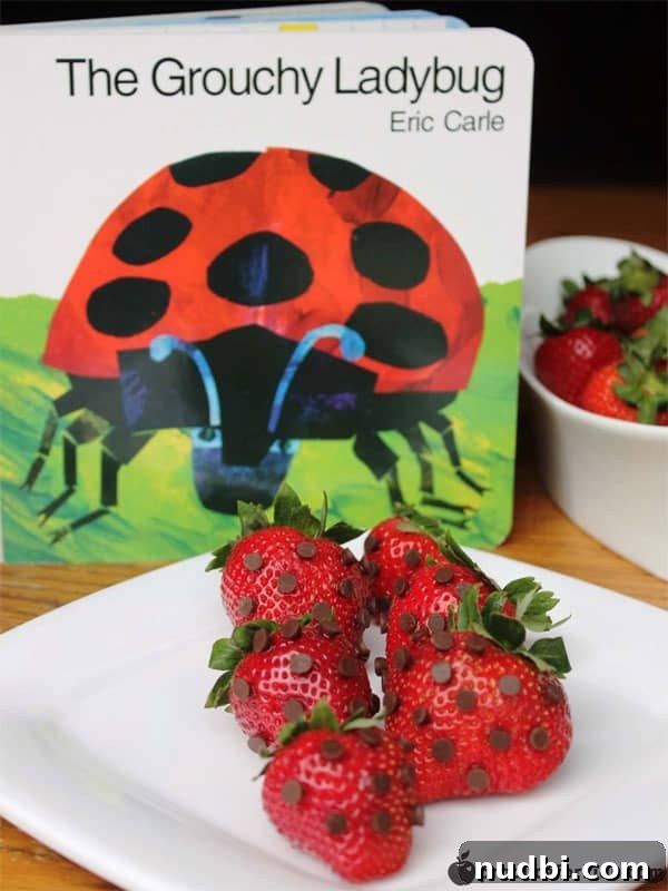 A creative snack depicting The Grouchy Ladybug, made with strawberries and chocolate chips.