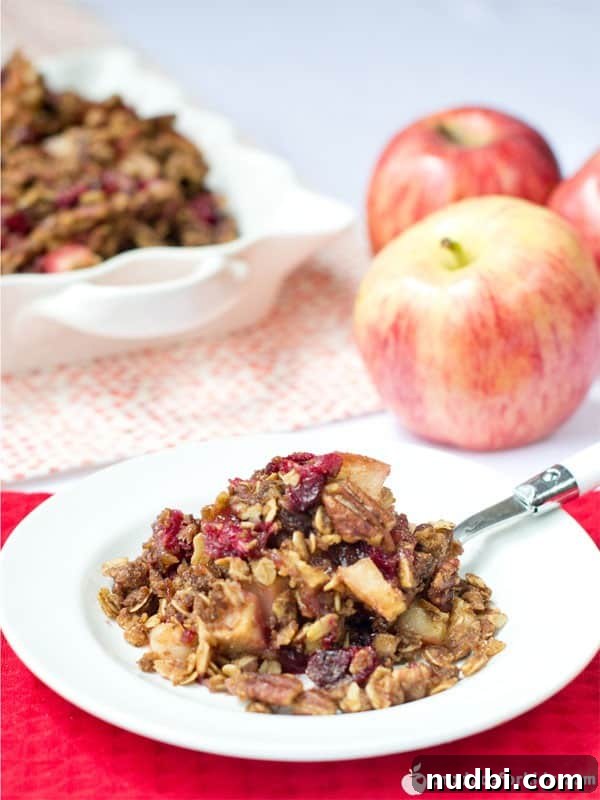 Autumn's Bounty Wholesome Apple Delights 24 Cranberry Apple Crisp