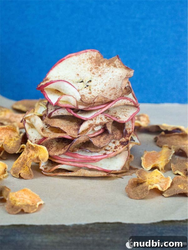 Autumn's Bounty Wholesome Apple Delights 28 Cinnamon Apple & Sweet Potato Chips