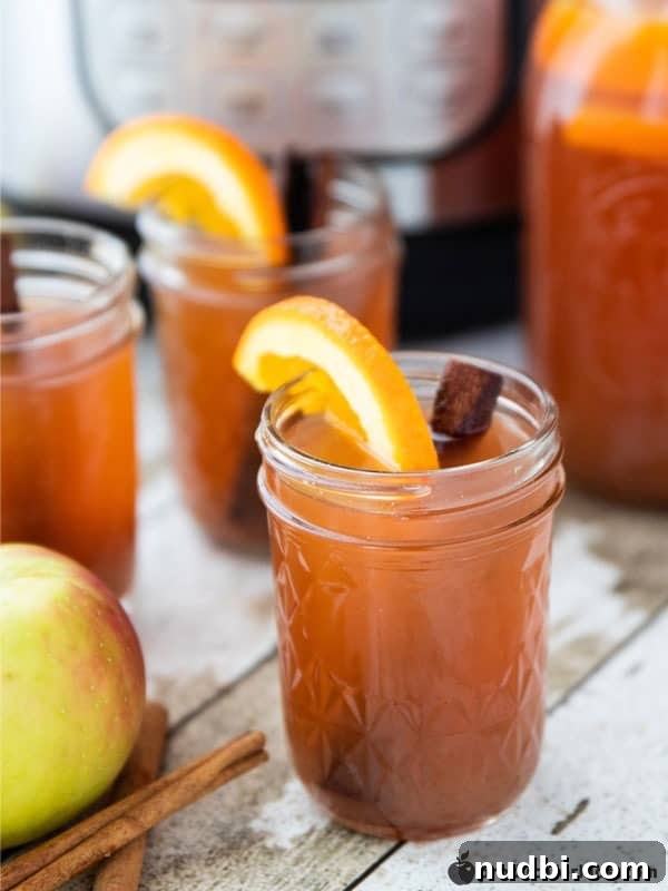 Autumn's Bounty Wholesome Apple Delights 37 Instant Pot Homemade Warm Apple Cider