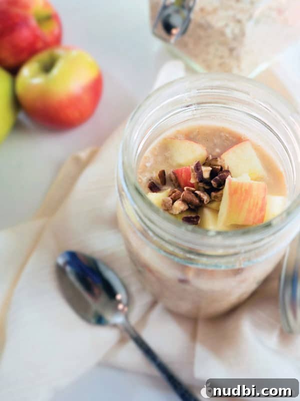 Autumn's Bounty Wholesome Apple Delights 47 Morning Glory Overnight Oats