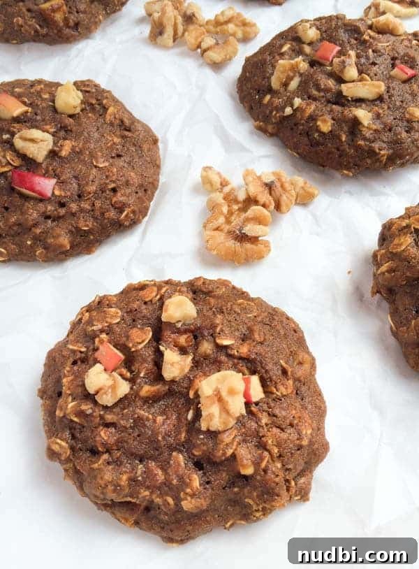 Autumn's Bounty Wholesome Apple Delights 7 Oatmeal Apple Breakfast Cookies