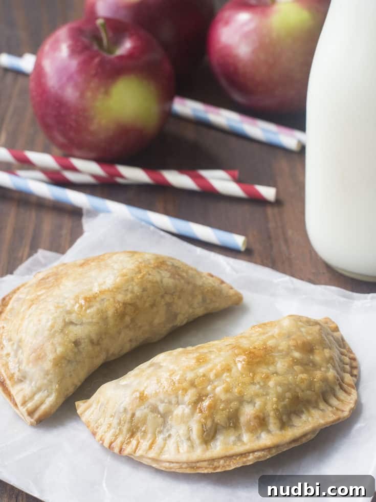 Autumn's Bounty Wholesome Apple Delights 8 Mini Apple Pie Empanadas