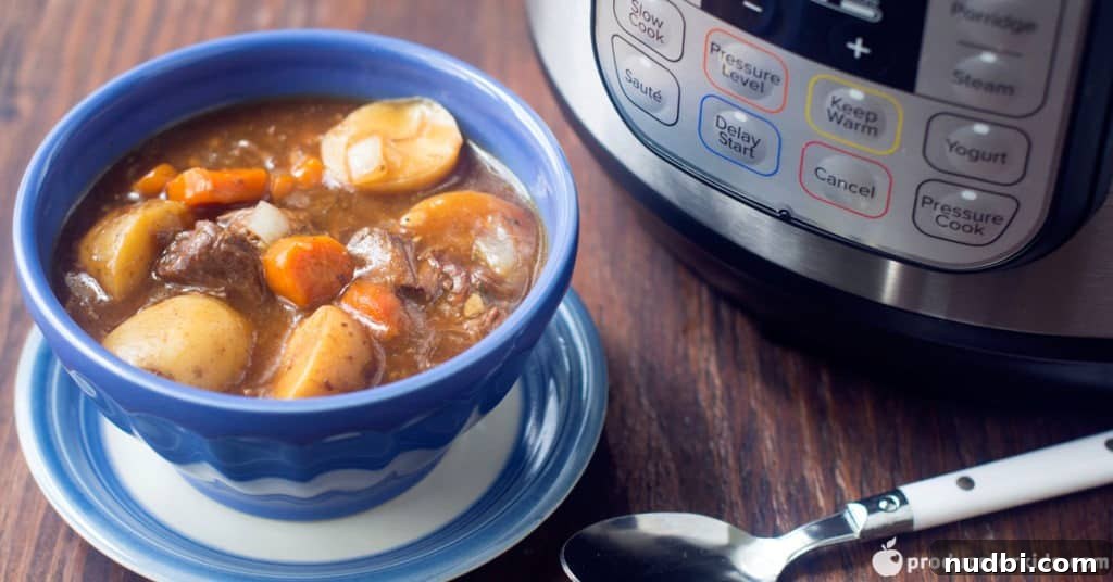 Delicious Instant Pot Beef Stew