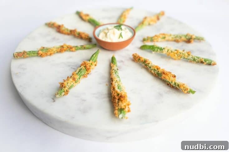 Crispy Green Bean Parmesan Crispers from the air fryer