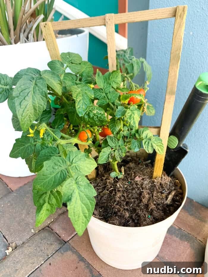 Unlock Your Green Thumb 3 A close-up of a seed packet, highlighting the planting zone and instructions for successful growth.