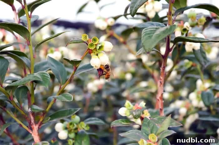 Unlock Your Green Thumb 4 A vibrant selection of potted herbs and vegetables thriving in a small garden space, demonstrating successful container gardening.
