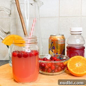 A refreshing orange cranberry spritzer garnished with fresh cranberries and an orange slice, presented in a glass.