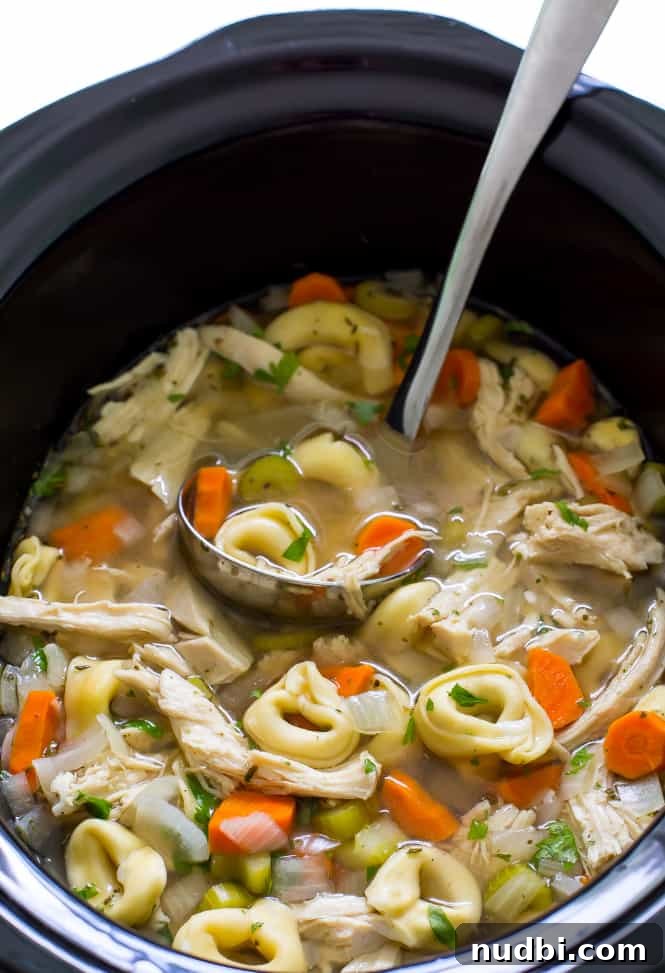 Slow Cooker Chicken Tortellini Soup