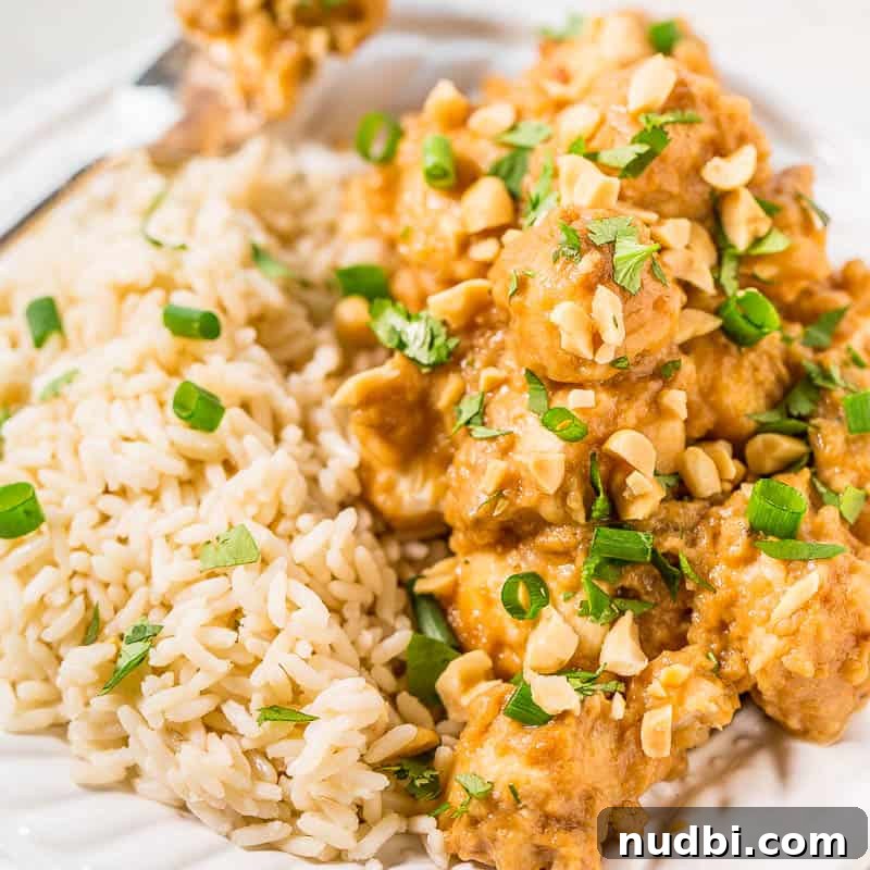 Slow Cooker Thai Peanut Chicken