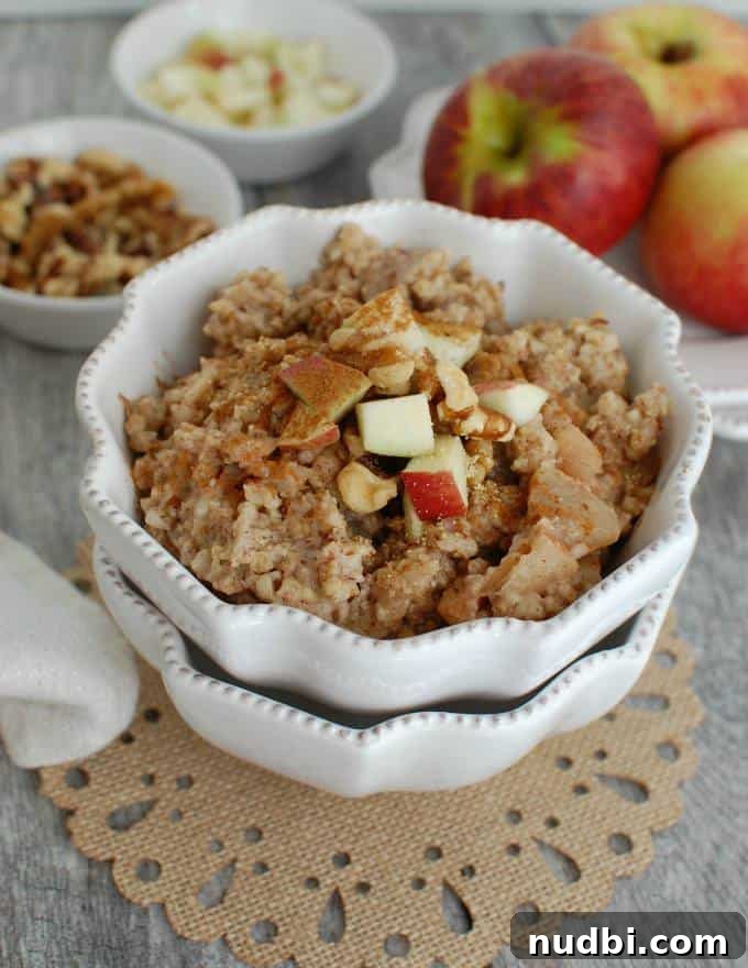 Slow Cooker Apple Pie Steel Cut Oatmeal