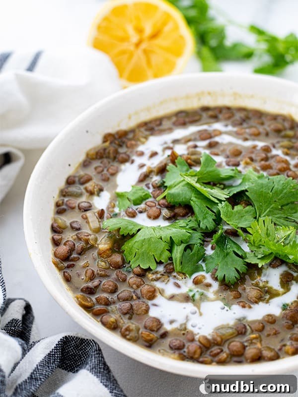 Creamy coconut lentil curry