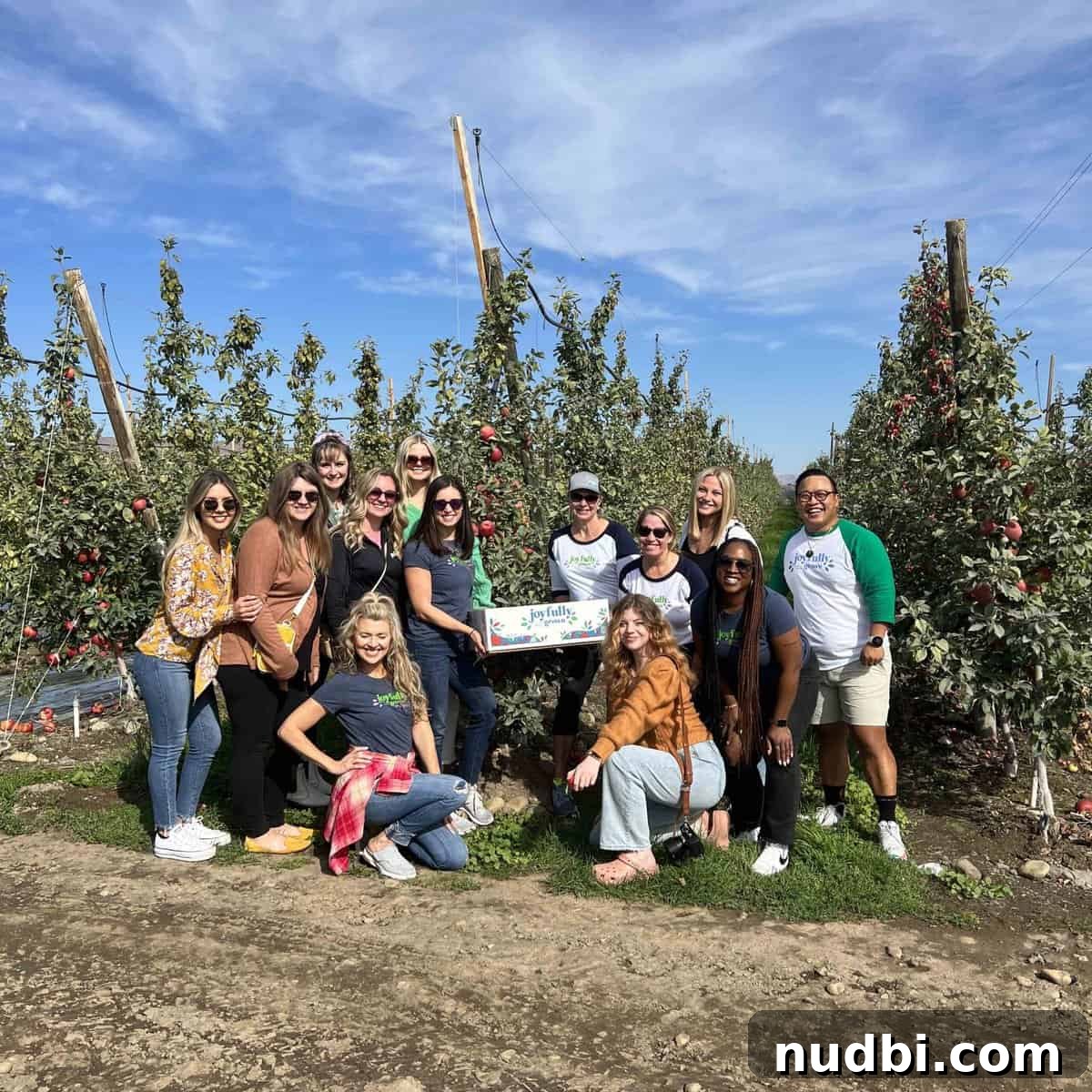 The Story Behind Every Apple Learn about apples and the meticulous care involved in apple farming, from orchard cultivation to advanced packing processes.