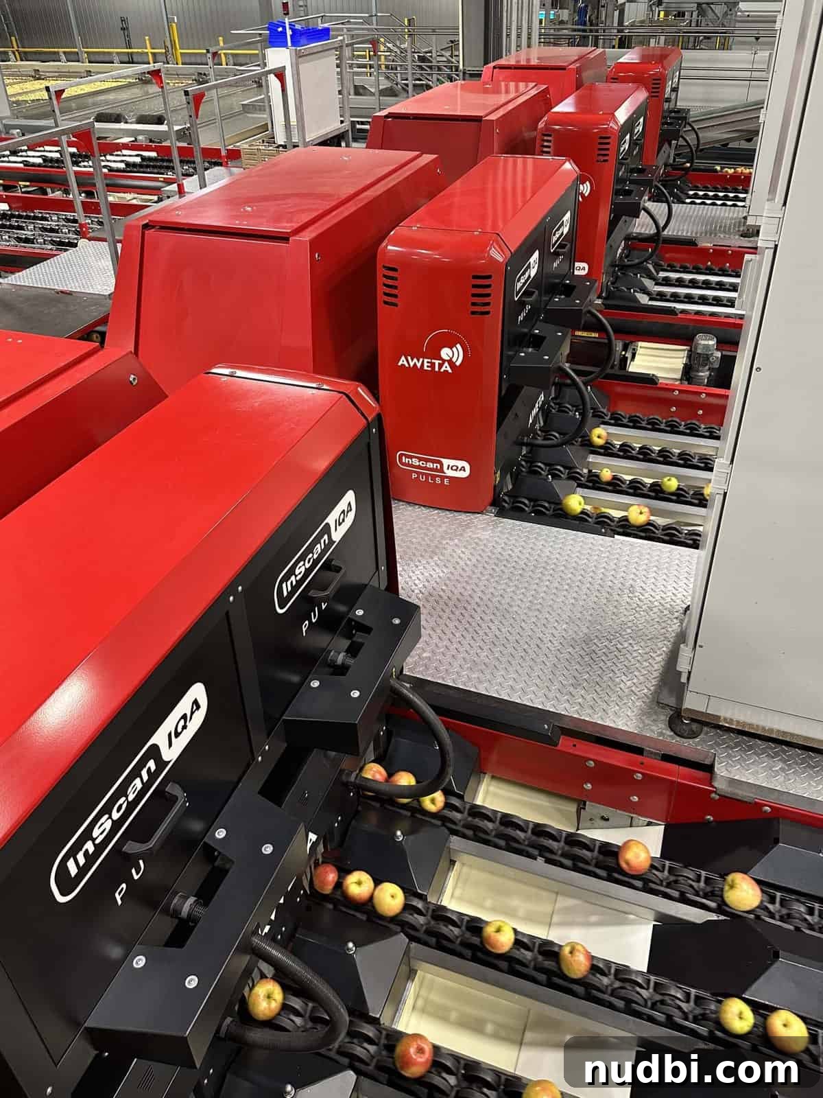 Inside an Apple Orchard: Cultivation and Care Discover the meticulous process of apple cultivation in orchards, from tree grafting to careful harvesting techniques.