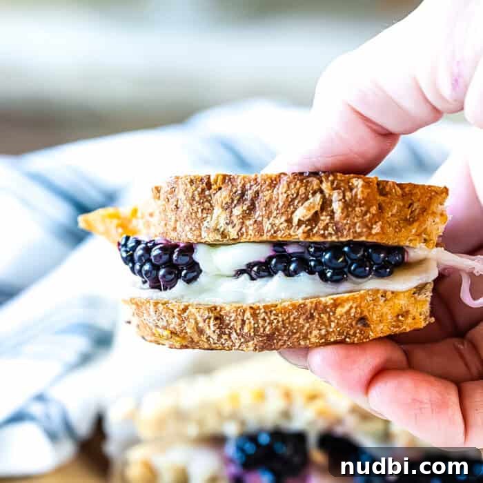 A delicious close-up bite of a blackberry grilled cheese sandwich, revealing melted cheese and juicy blackberries.