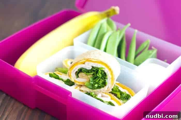 Turkey, veggies, and hummus wrap in a lunchbox.
