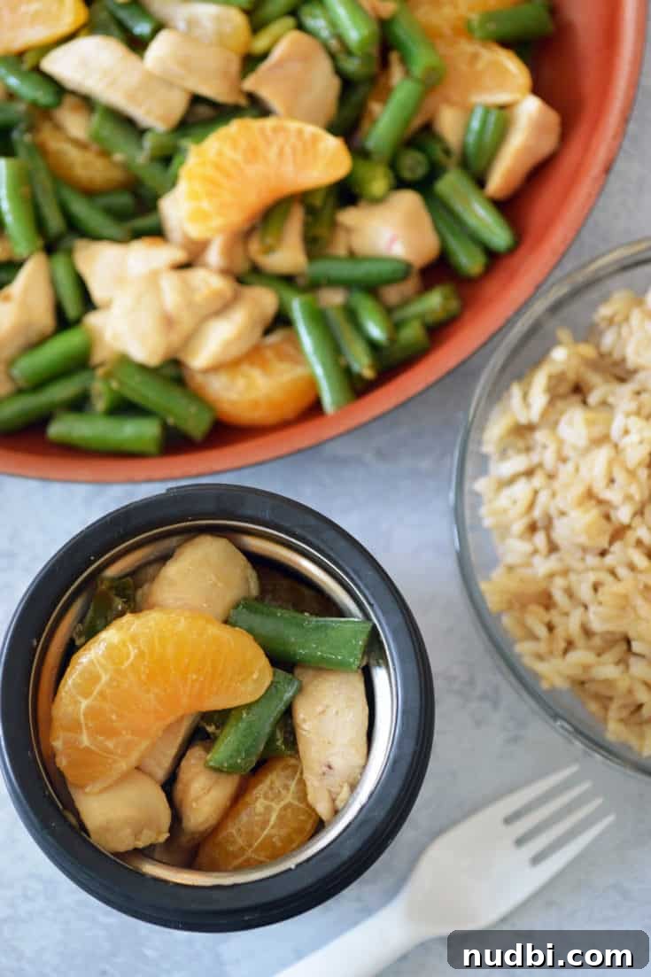 Mandarin Chicken Stir-fry with Green Beans, a vibrant dish served in a thermos for school lunch.
